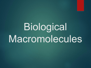 Biological Macromolecules 