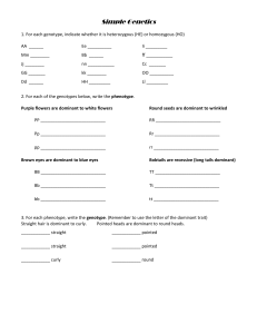 1.2  Simple Genetics tomm