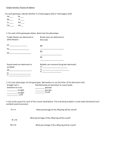Genetics Punnett Square Practice
