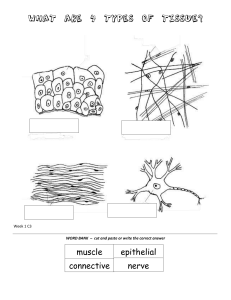 wk 1 Science Activity