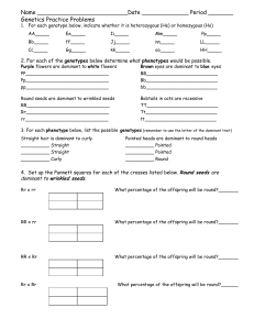 Genetics Practice Problems - Punnett Squares