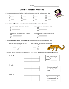 Genetics Practice Problems