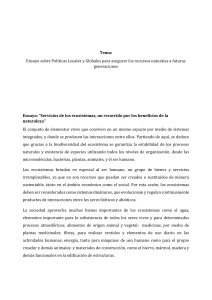 Ensayo - Politicas Globales