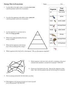 Nature's energy flow worksheet