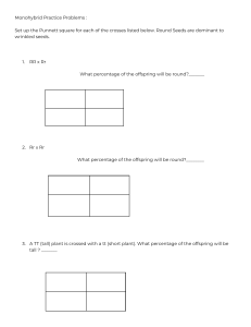 Monohybrid Crosses Worksheet  