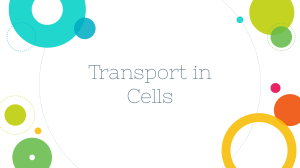 Transport in Cells - Diffusion