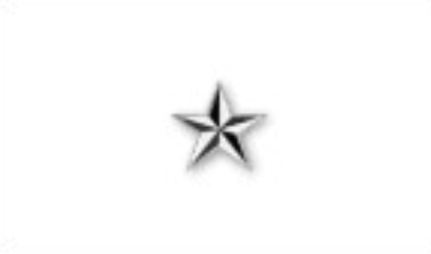 Brigadier General 
One five point star